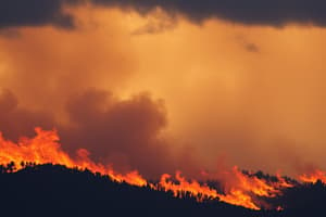 Comportamiento del Fuego y Tormentas