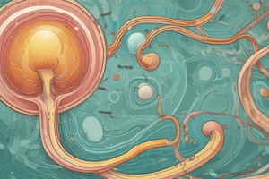 Nephron and Urine Composition