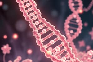 Understanding the process of PCR