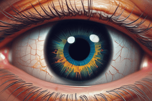 Anatomía del ojo y células visuales