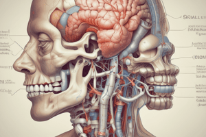 Sinusitis and Respiratory Conditions