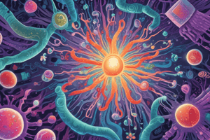 Antibiotic Resistance in Gram-Negative Strains