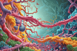 Tyrosine Kinase Receptor - JAK STAT Pathway Overview