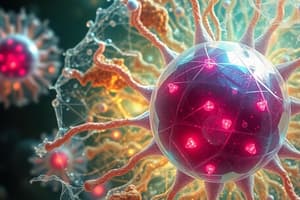 Eukaryotic Cells Overview