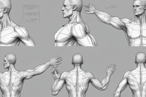 Shoulder Kinematics and Scapular Movement