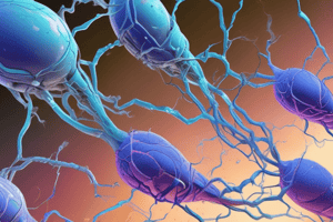 Enzymes in Biotechnology