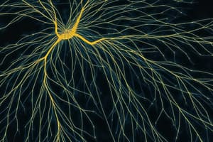 Cell Biology: Actin, Myosin, and Microtubules