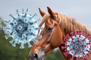 4 Equine Viral Respiratory Diseases