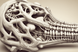 Bone Repair and Healing Process