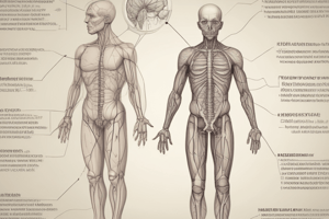 Peripheral Nerve Surgery Evaluation and Management Quiz