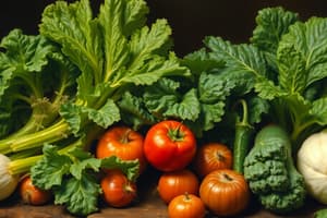 Vegetable Classification Quiz