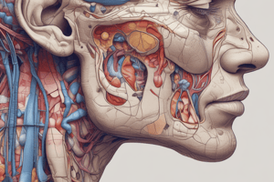 Anatomy of the Parotid Gland