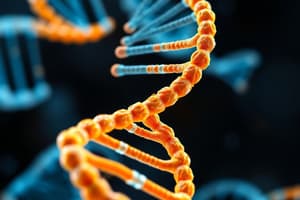 DNA and RNA Structure Quiz