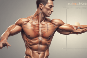 Manual Muscle Testing (MMT) Techniques