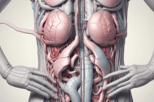 Anatomy of Peritoneal Folds and Ligaments