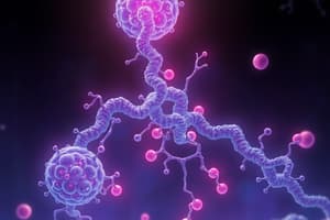 Biochemistry Nucleic Acid Metabolism