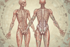 Enterochromaffin Cells and Histamine Release