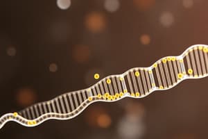 DNA Sequence Analysis Quiz