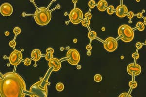 Enzymes Overview Quiz