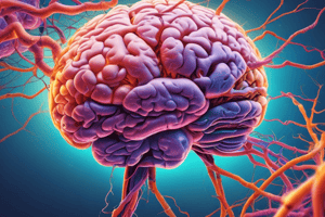 Neurology: Key Terms and Concepts Quiz