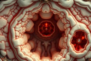 Orofacial Cysts Overview