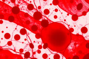 Blood components and cell morphology