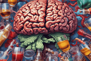 Alcohol and Brain Function Quiz