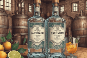 Gin destilado: Características y tipo