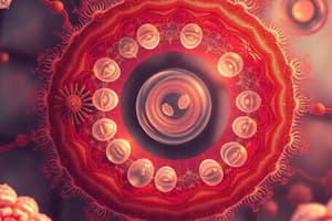 Eukaryotic Cells and Endomembrane System