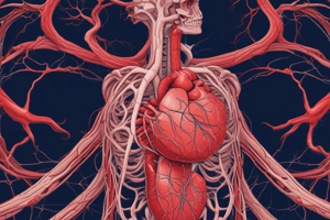 Cardiovascular System Quiz: Blood Vessels and Cardiac Cycle