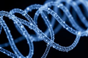 Nanowire Structure and Synthesis