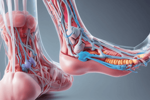 Post-Operative Infection I & II Quiz