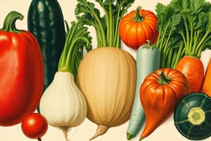 Vegetable Classification Quiz