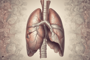 Lung Cancer and Respiratory Diseases