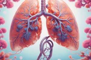 Respiratory System Terminologies