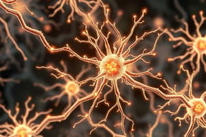 Neurobiology Quiz: Nervous System Functions