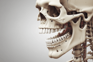 Temporomandibular Articulation Quiz