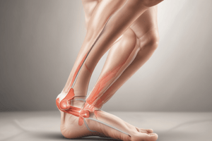 Ankle Impingement Quiz