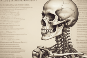 Bone Anatomy and Functions