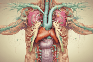 MBBS Year 1 Gastrointestinal Lectures: Bile and Biliary System