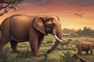 Endangered and Extinct Animals Quiz