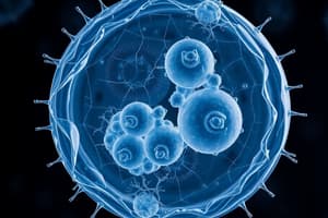 Meiosis and Mitosis Overview