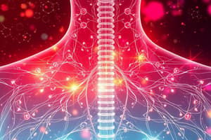 Hormones Thyroïdiennes