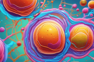 Cell Nucleus Function