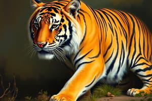 Siberian Tiger Adaptations and Habitat