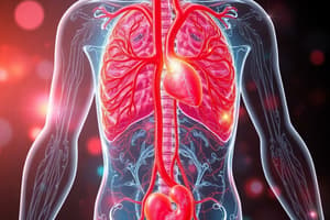 Circulatory and Urinary Systems Quiz