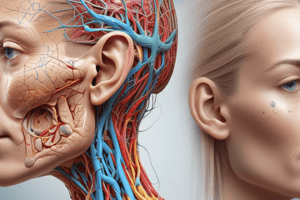 Facial Nerve Grading System Quiz