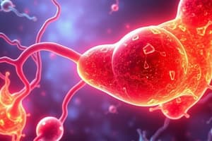 Glucagon and Blood Glucose Regulation