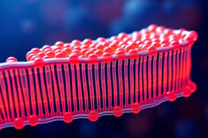 Cell Membrane Overview and Functions