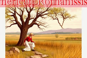 American Romanticism Unit Test Flashcards